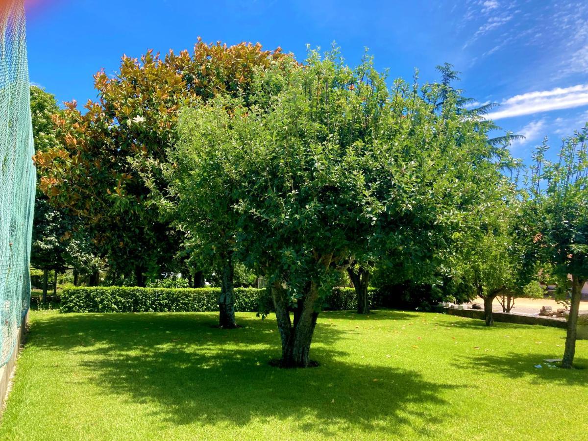 Quinta Dom Sapo - *