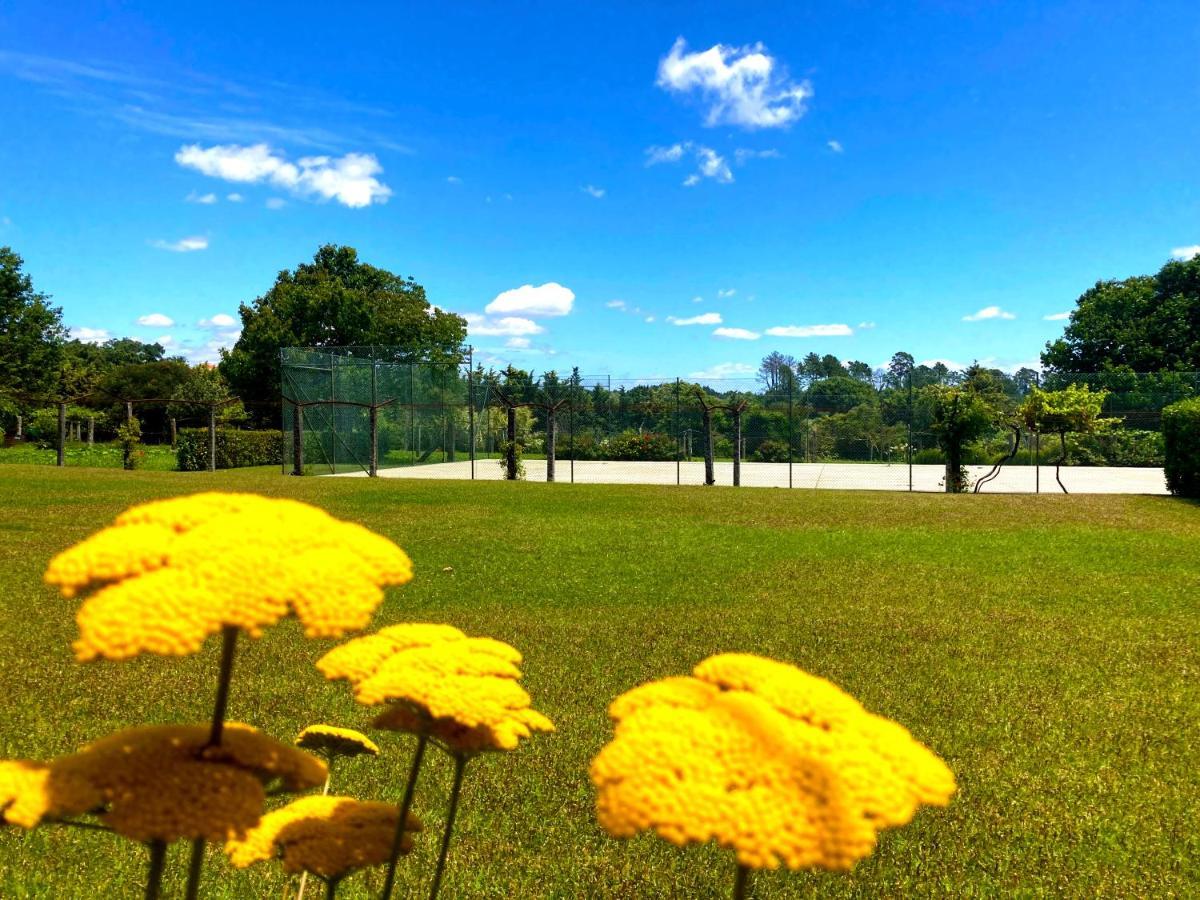 Quinta Dom Sapo -